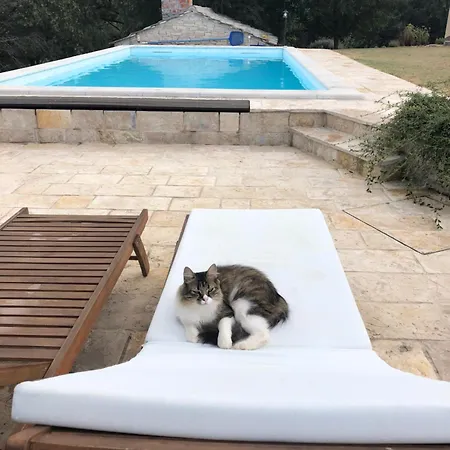Villa House Dream