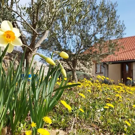 House Dream Villa Obrovac